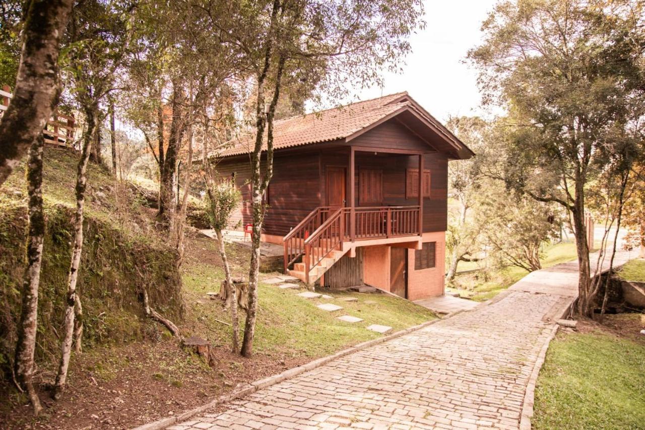 Lodge Wine